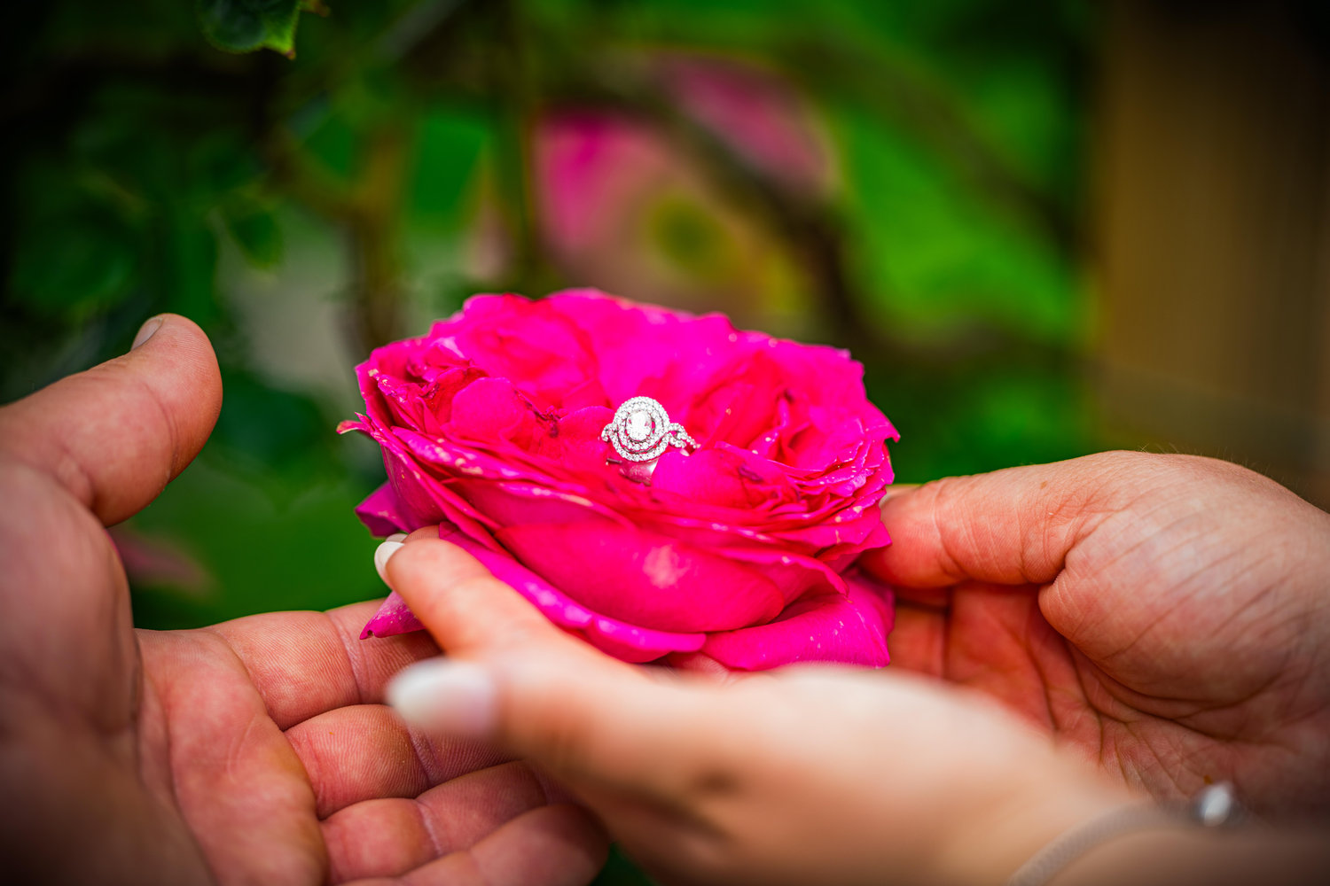 The Wedding Website of Elizabeth Sblendorio and Steven McKasty