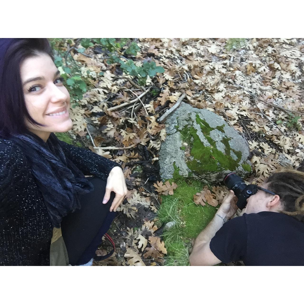 photographing teeeeny salamanders and snakes