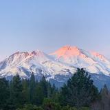Mount Shasta