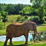 North Carolina Zoo