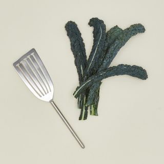 Simple Metal Fish Spatula