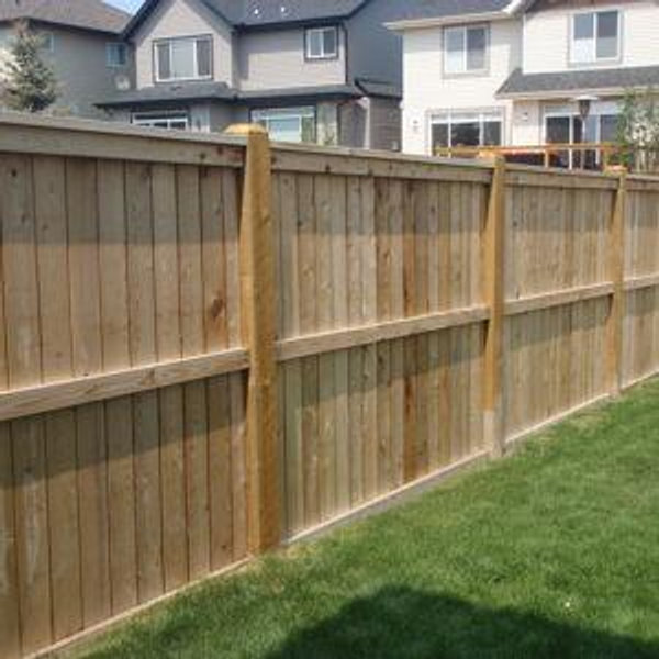 Backyard Fence