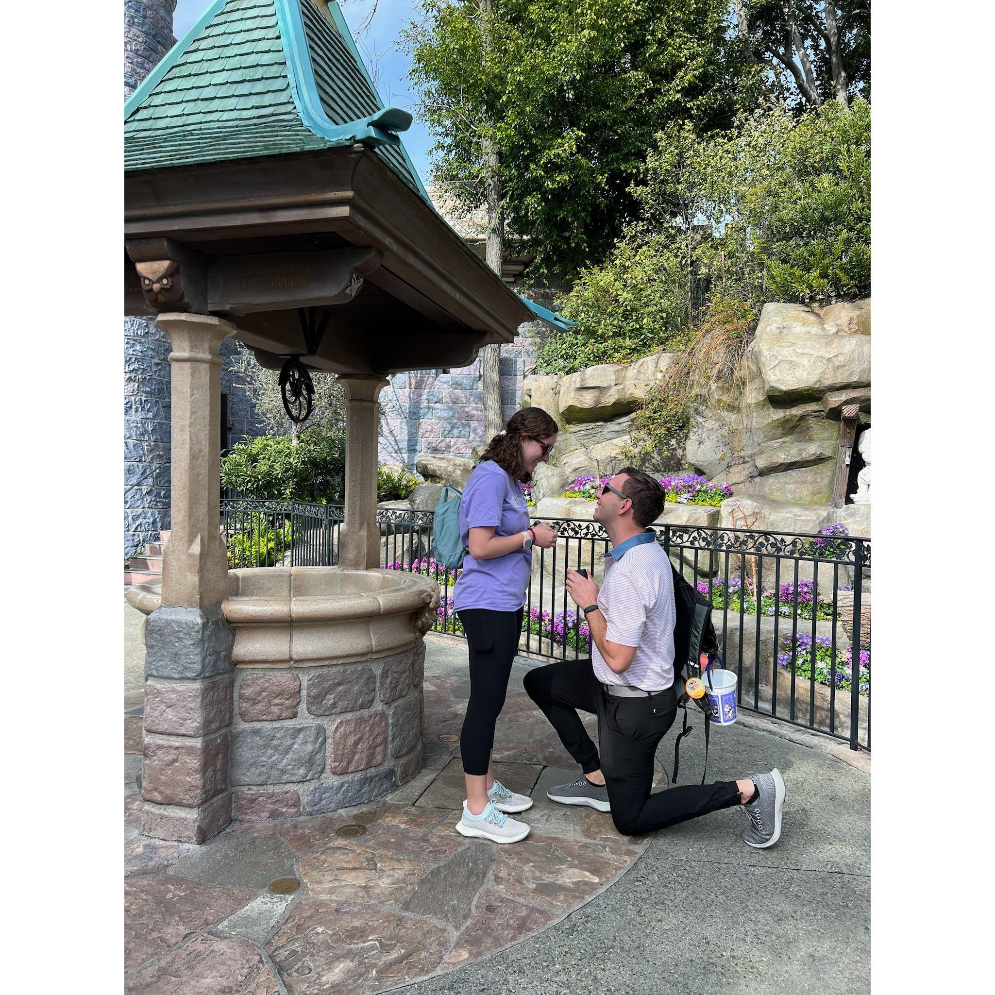 The Proposal: Disneyland March 2023