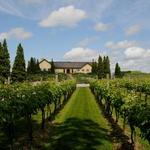 Long Island Wine Country