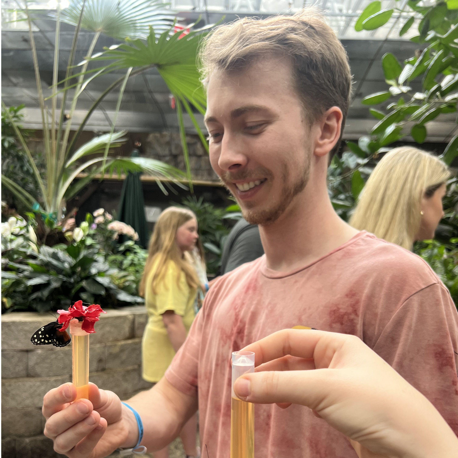 March 2024: Feeding the butterflies