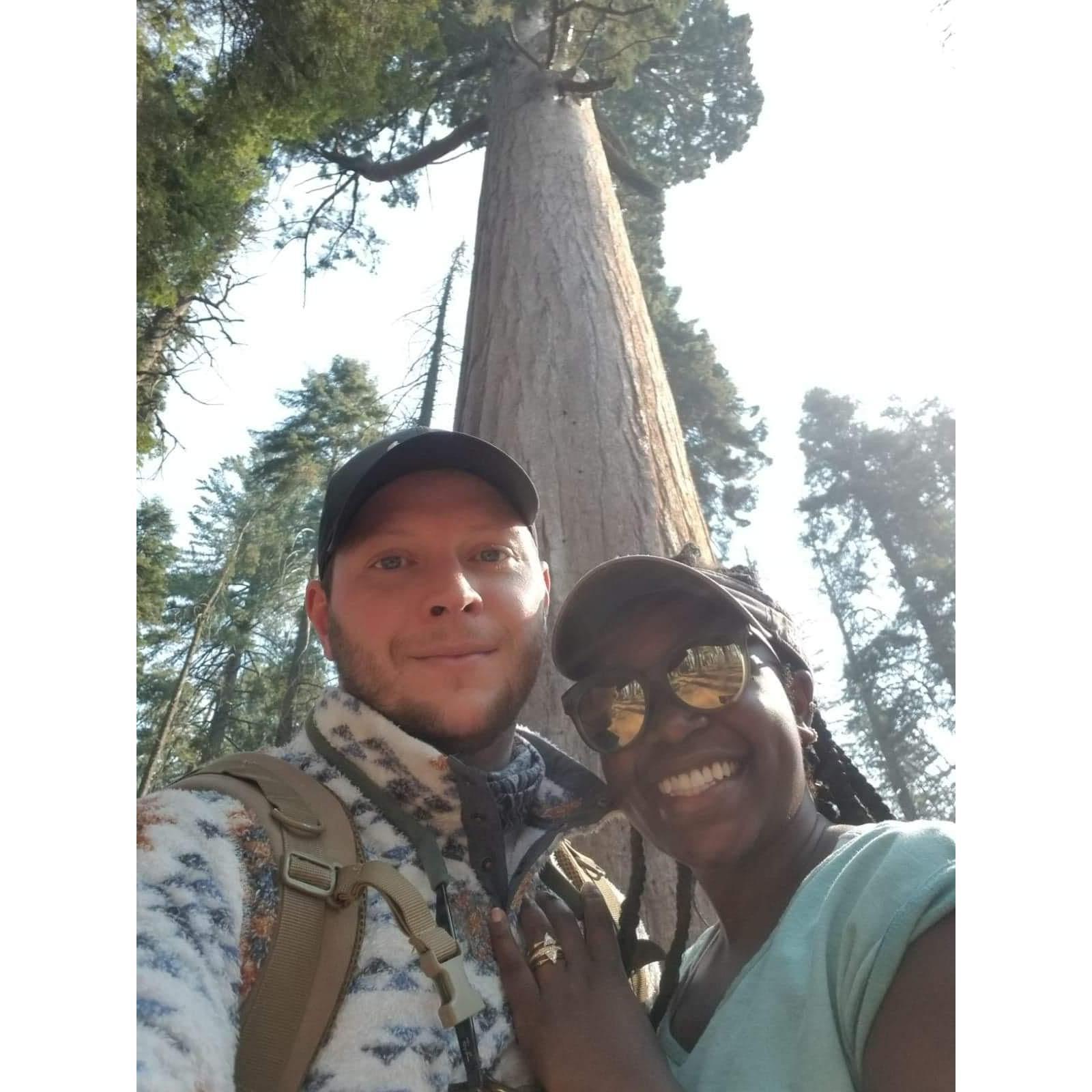 Sequoia National Park