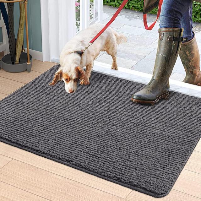 DEXI Door Mat Indoor Rug Inside Front Entrance Non-Slip Low Profile Washable for Entryway 19.5"x31.5",Dark Gray