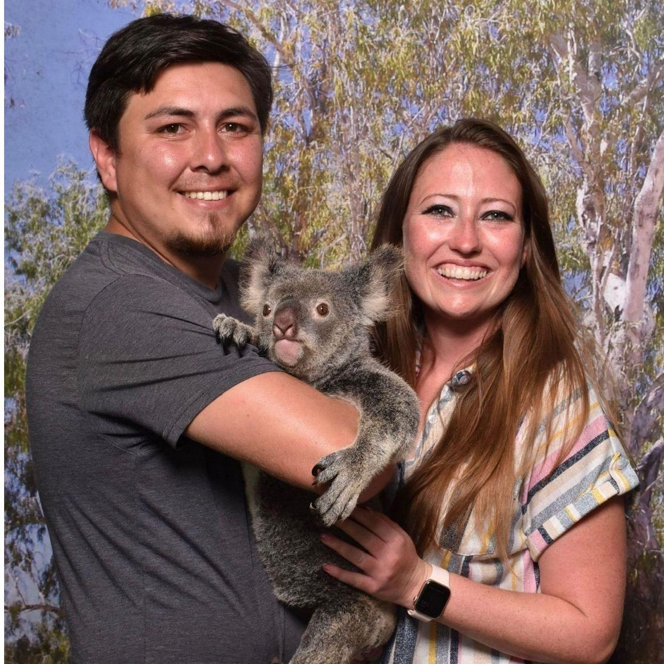 Koala Snuggles in Cairns, Australia 2024!