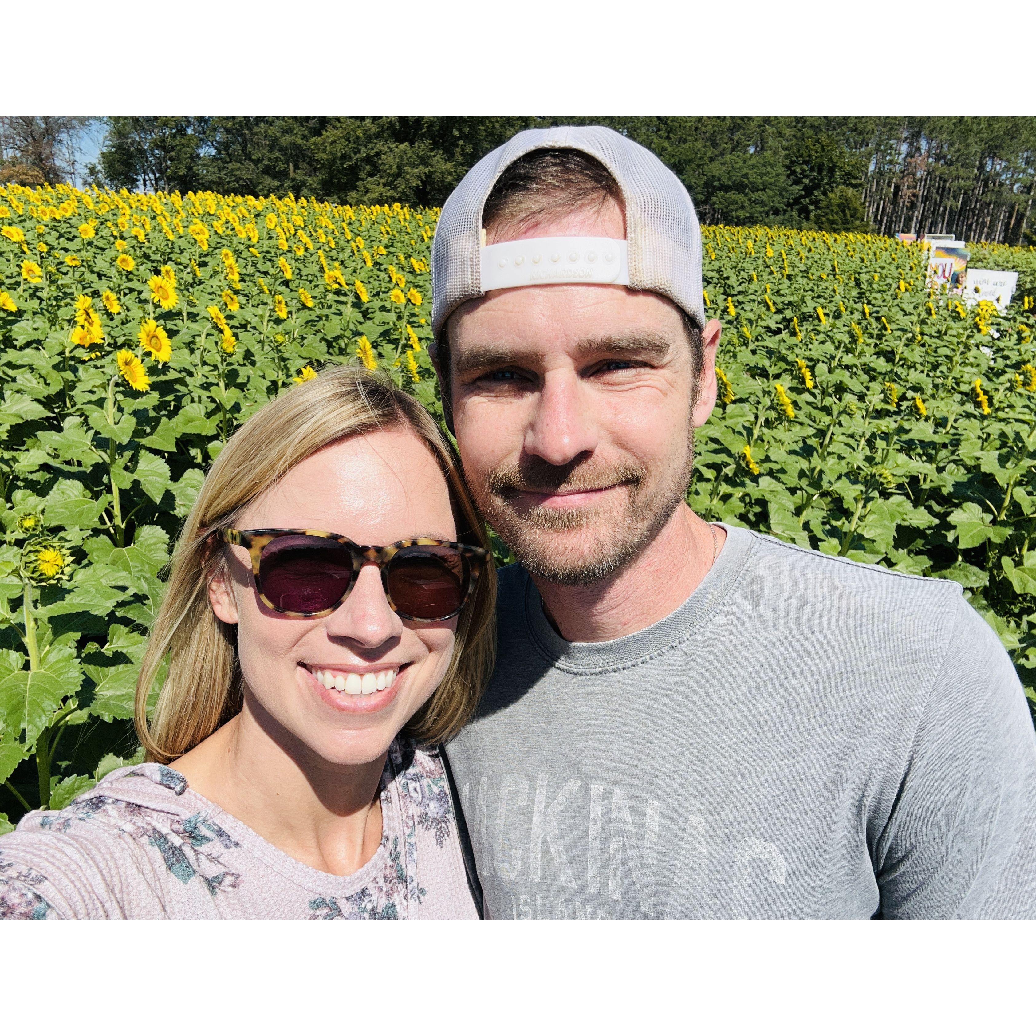 Visit to the sunflower fields