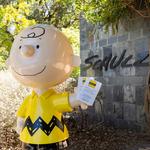 Charles M. Schulz Museum and Research Center