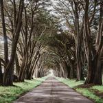 Point Reyes National Seashore