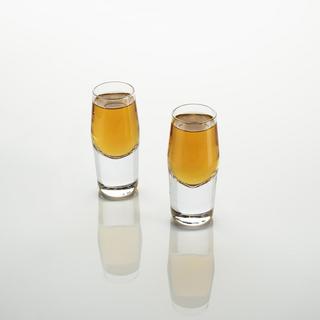 Raye Heavyweight Shot Glass, Set of 2