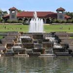 Forest Park