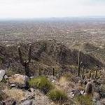 Black Mountain Summit Trail