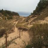 Old Baldy Trail