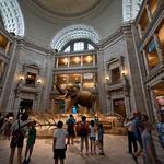 Smithsonian Museums