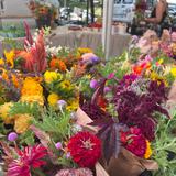 👩‍🌾 Markets & Festivals