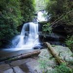 Bartram Trail - Trailhead