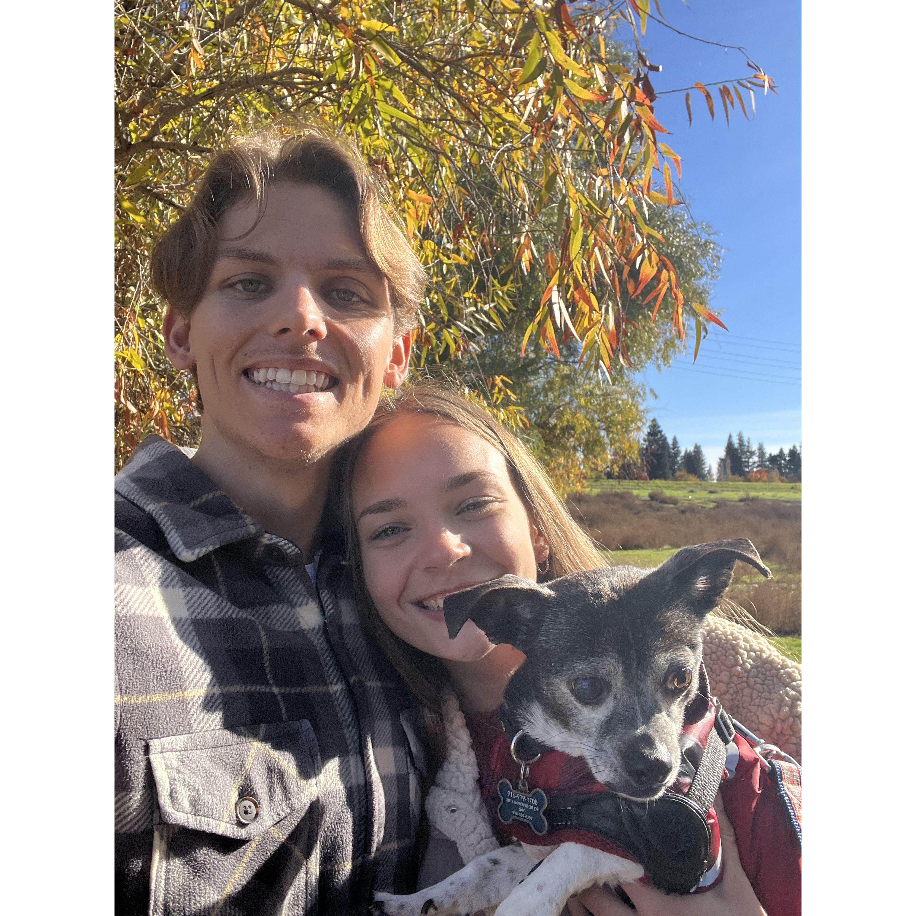 Jake winning over Mia's dog!