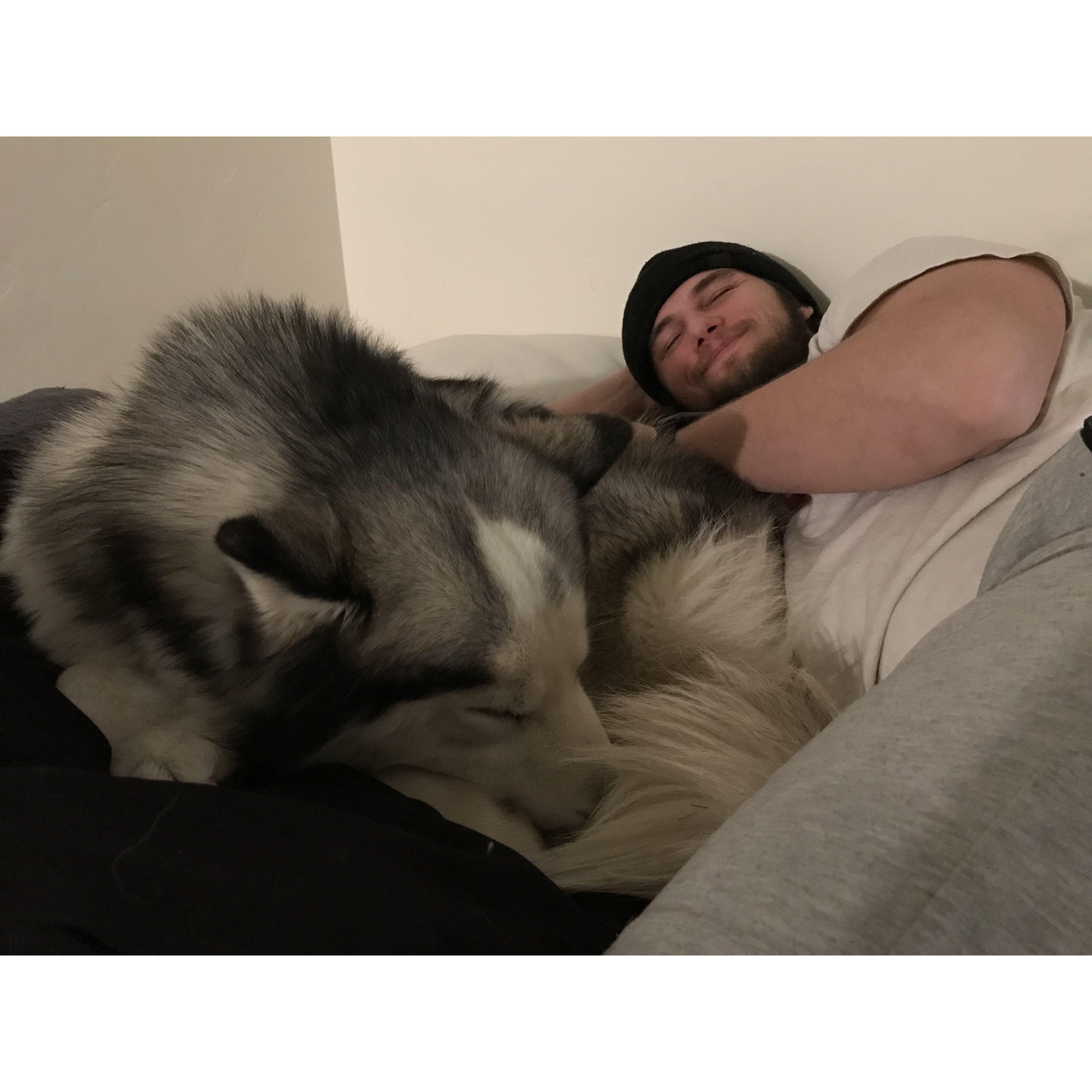 Canyon brought Juneau home! March 2022