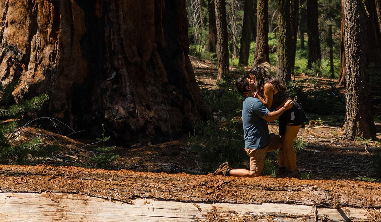 Hero Slideshow Image 1