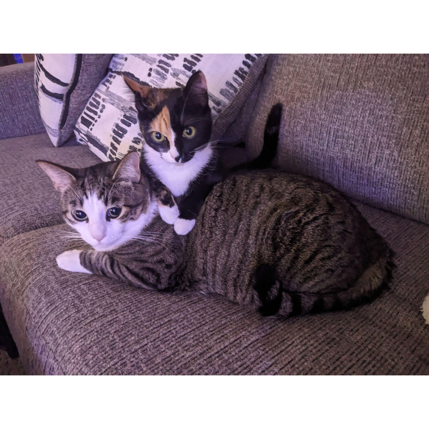 Sisters being cute