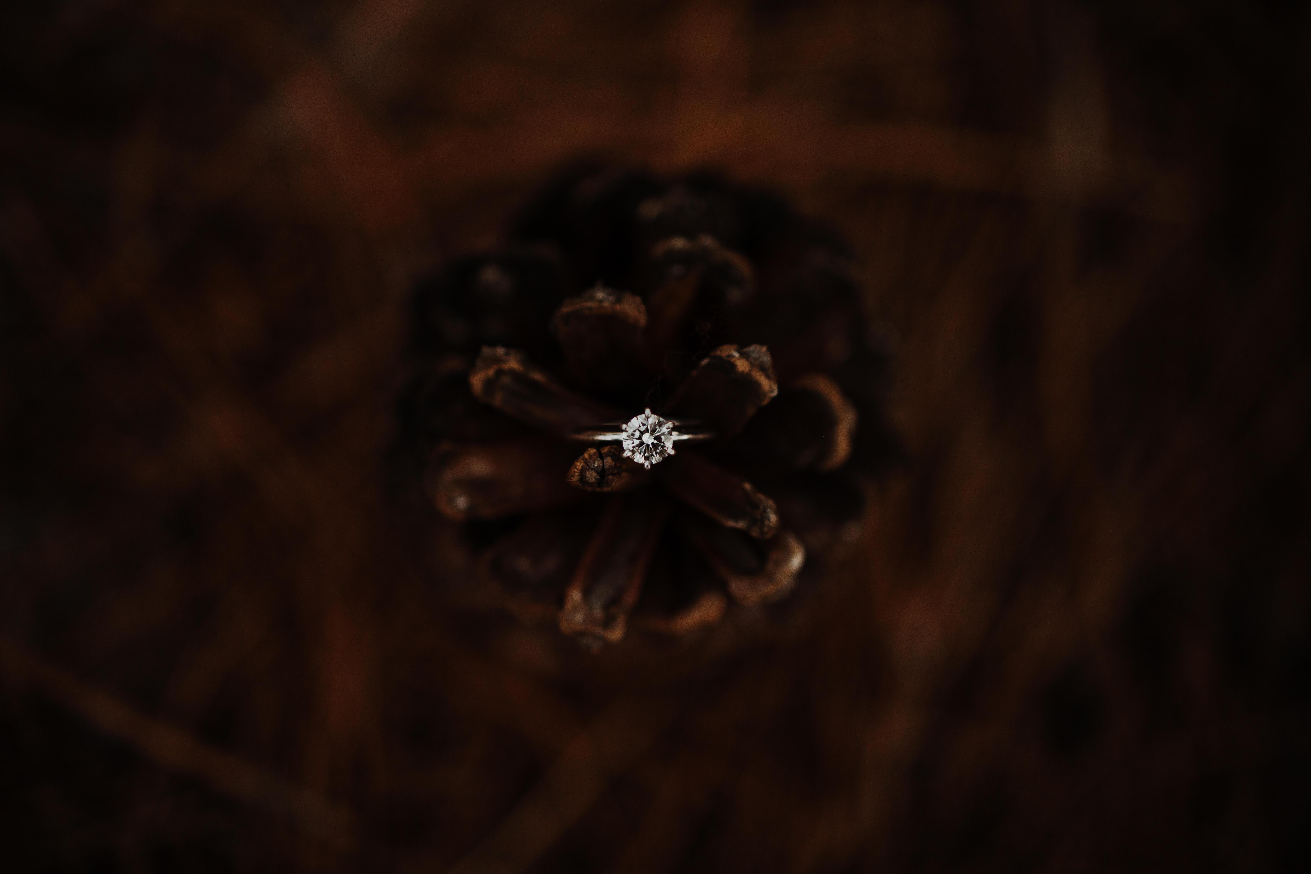 The Wedding Website of Jordan Gonzales and Audrey Misner