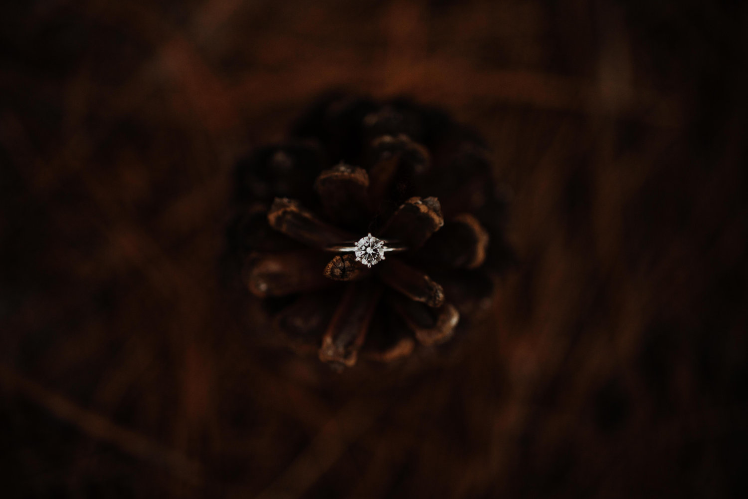 The Wedding Website of Jordan Gonzales and Audrey Misner