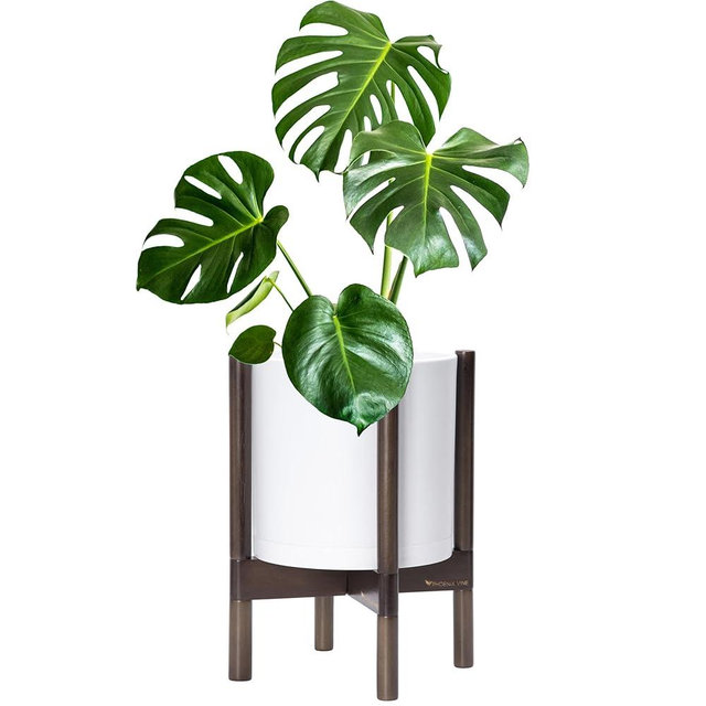 D'vine Dev Planter Pot with Stand - 10 Inch Plastic Cylinder Flower Pot with Wood Planter Holder for Indoor, Matte White Pot + Walnut Color Stand, 55-C-L-1
