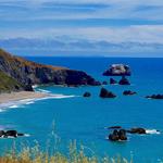 Bodega Bay