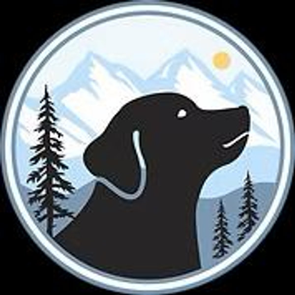 Mile High Labrador Retriever Mission