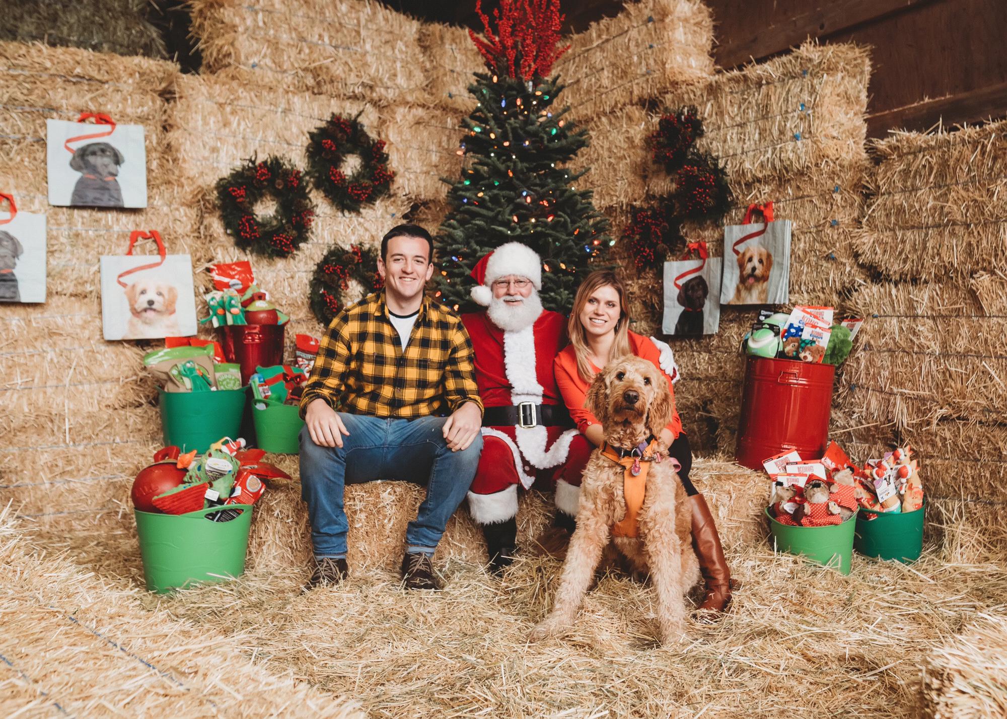 Santa Paws, 2017