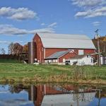 Rockbridge Vineyard & Brewery