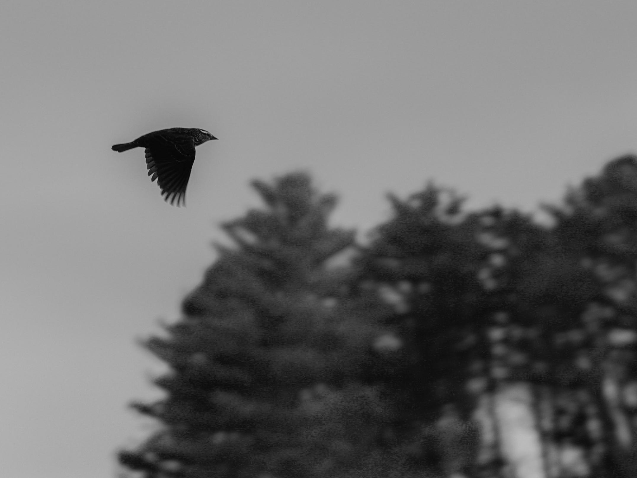 The Wedding Website of Evan Landry and Tatyana Foskey