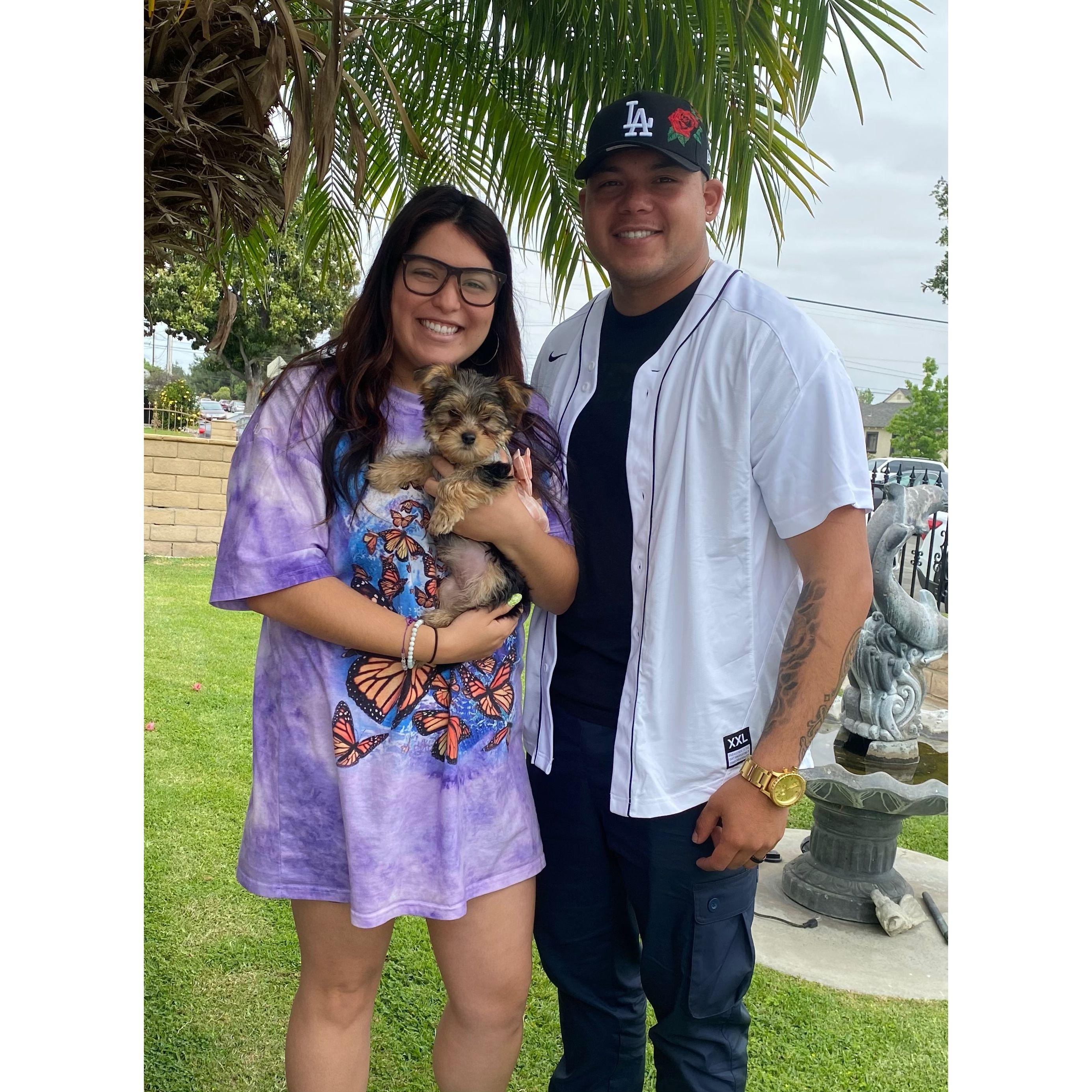 The day we picked up Honey and became a family of 3!