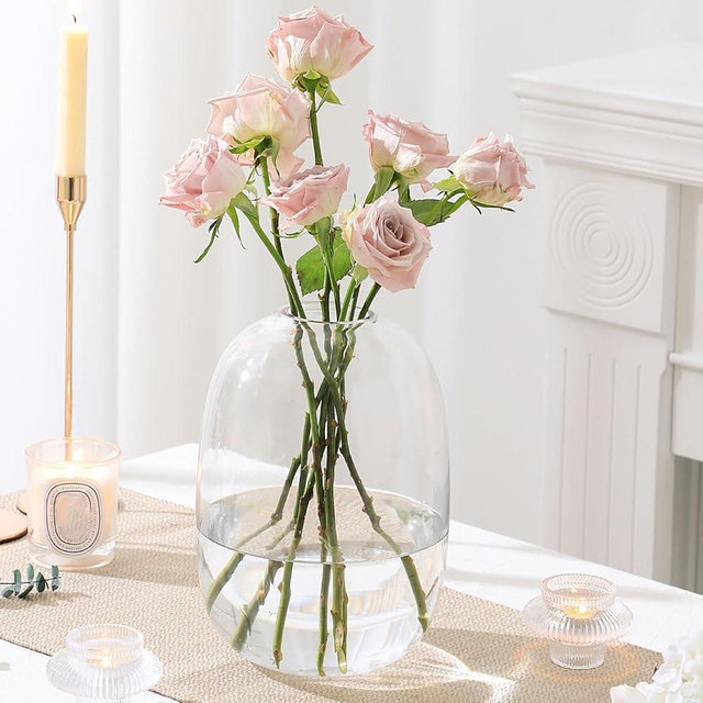 YANWE1 Large Glass Vase, 10 Inches Tall Glass Vases, Clear Glass Vase for Flower, Modern Round Vases for Living Room, Dining Table, Mantle, Shelf, Wedding, Office, Entryway