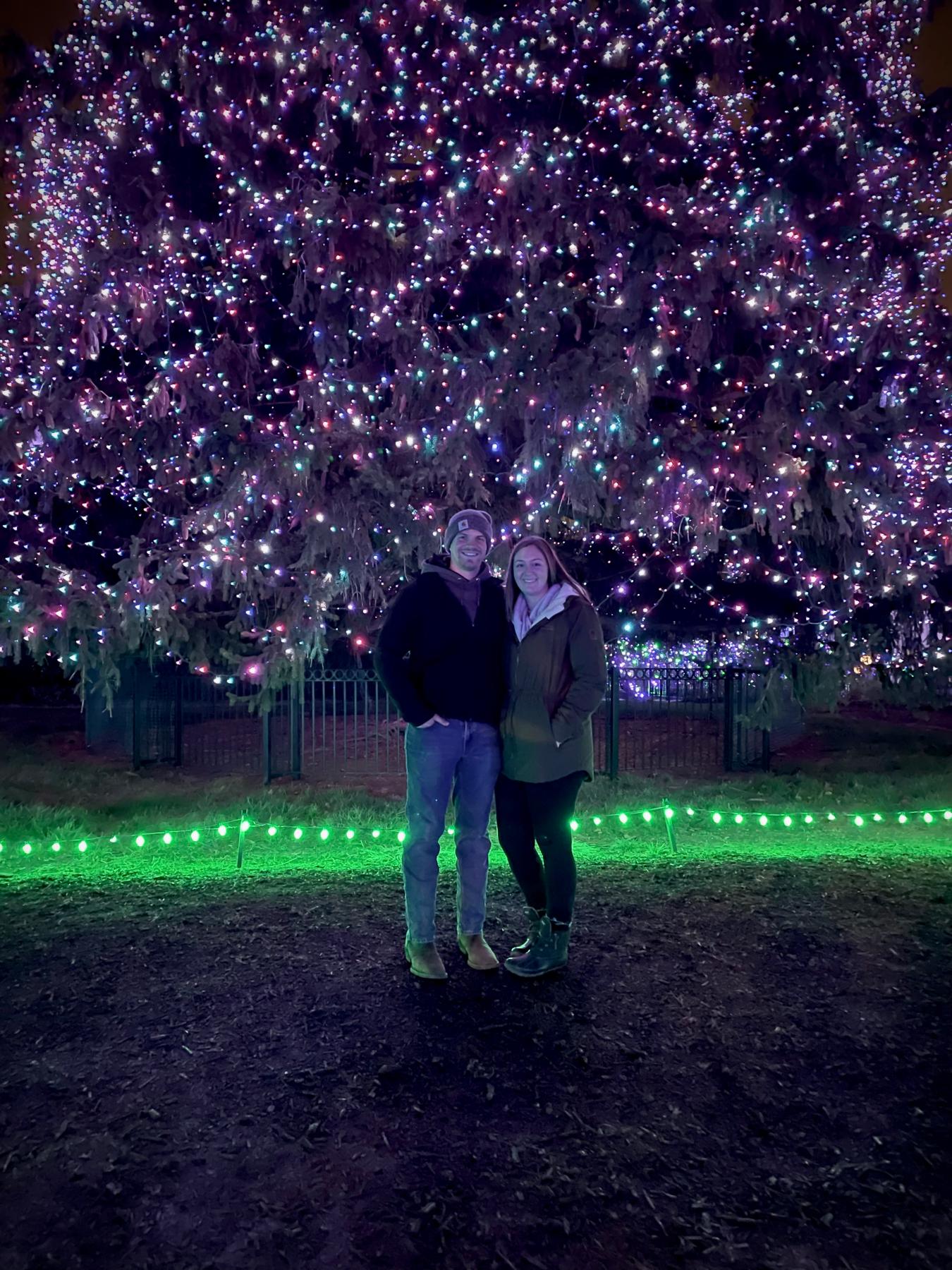 Lights before Christmas @ The Toledo Zoo🐘🎄