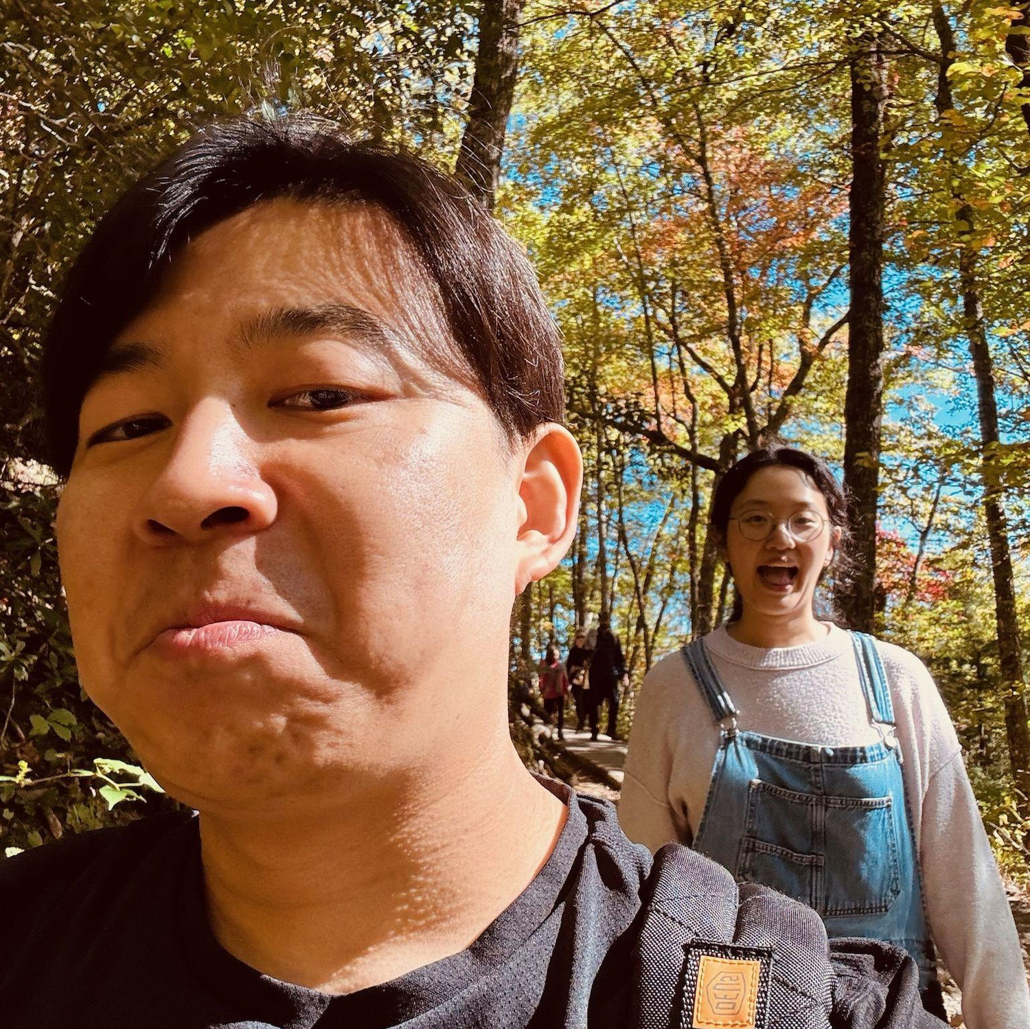 Oct 2024 - Smoky Mountain National Park
