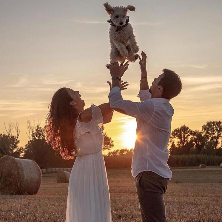 Bolgheri, Italy 2019