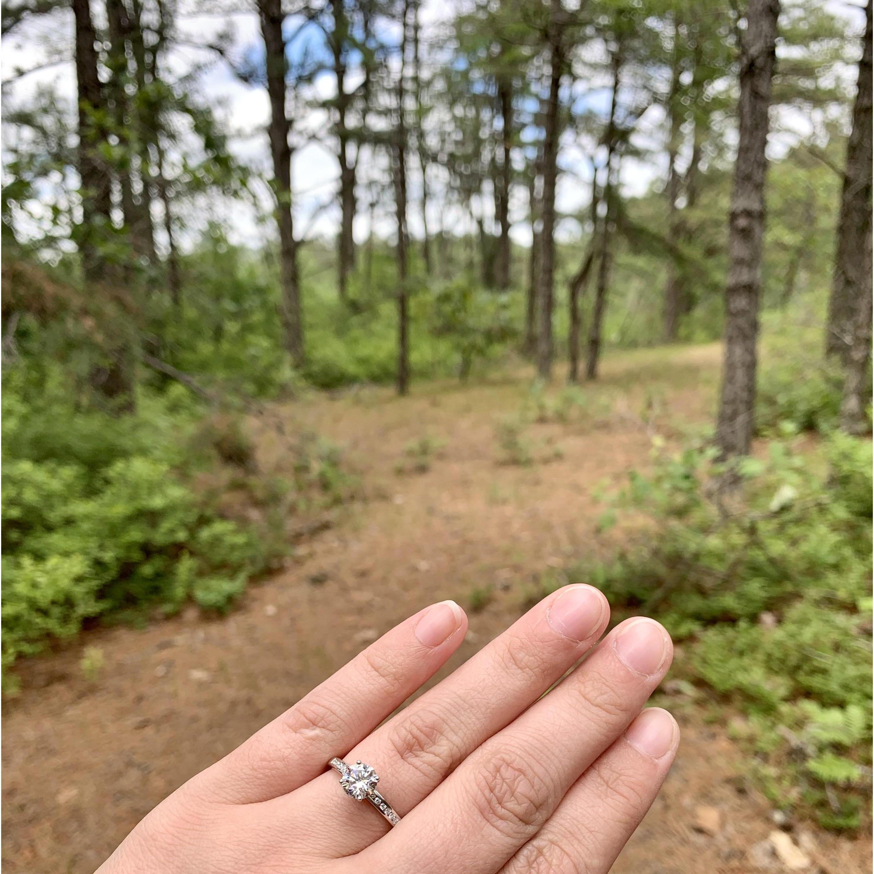 Where I said YES!