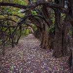 Great Plains Nature Center