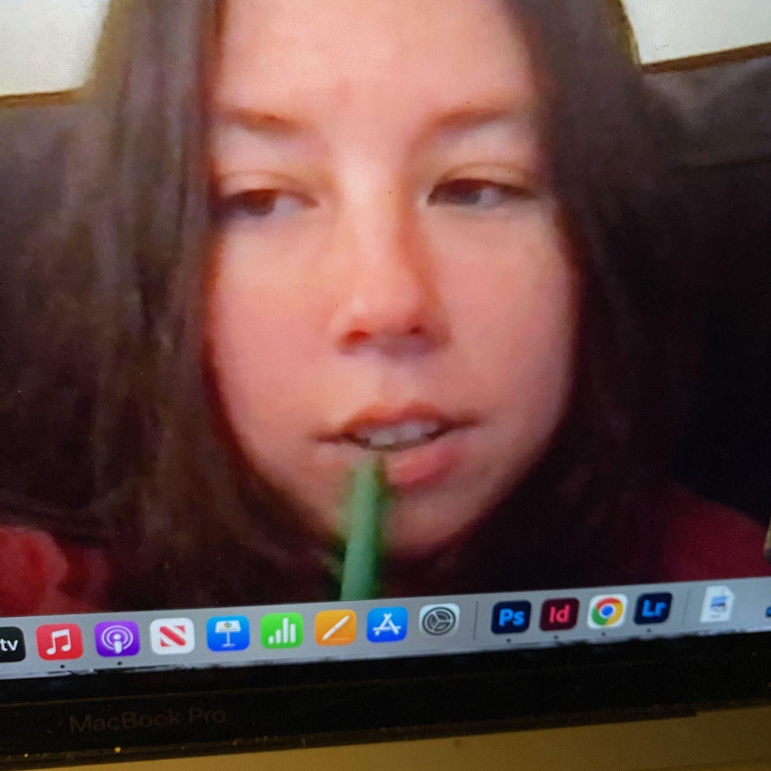 Over winter break and Field Work Term, Mia and I FaceTimed a lot while I was in Bennington and she was in NYC.