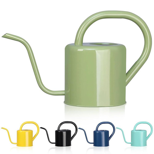Watering Can, Stainless Steel Watering Can for Indoor & Outdoor Plants, 1L/35oz Long Spout Water Can with Handle, Rust-Proof Plant Watering Pot for House Plants, Garden Flowers