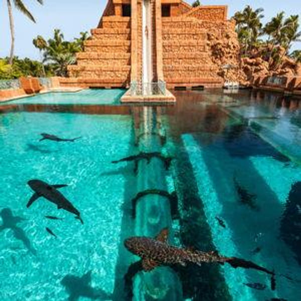 Honeymoon Trip (Atlantis Day Pass)
