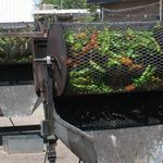 Rail Yards Market Open May - Oct