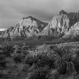 Red Rock Canyon