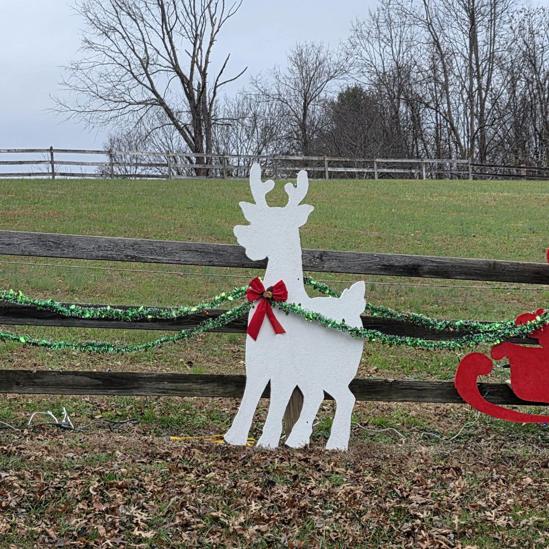 December 3 - Santa & his reindeer - made by Larry for Mom!