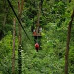 Lake Geneva Canopy Tours
