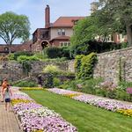 Cranbrook House & Gardens
