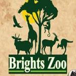 Brights Zoo